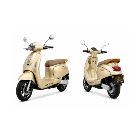 Ruris električni moped Pilot SX790GD