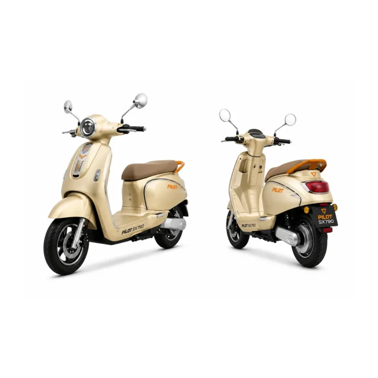 Ruris električni moped Pilot SX790GD