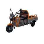 Ruris električni teretni tricikl Pilot 3110