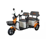 Ruris električni tricikl Pilot 3040